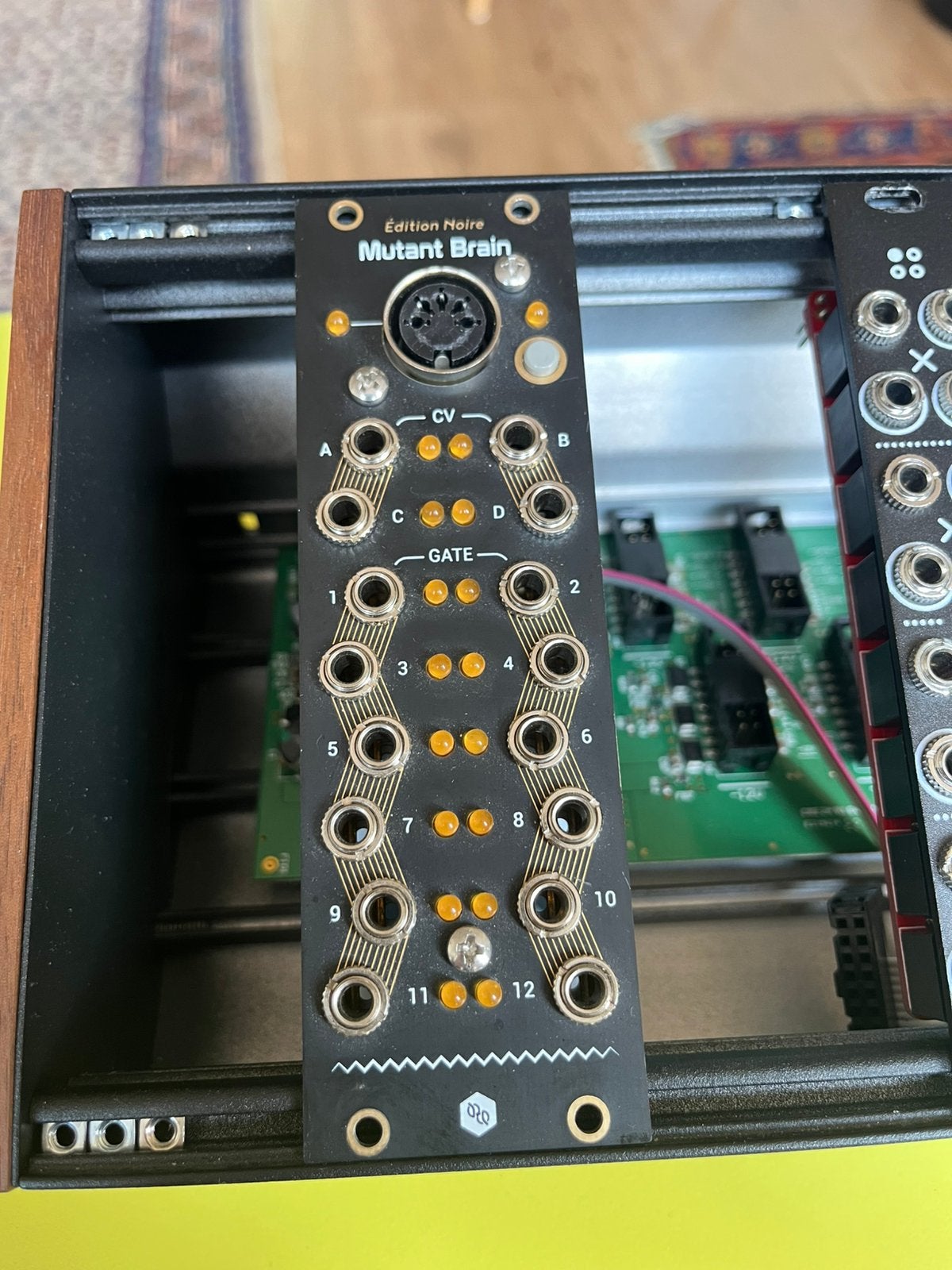 Mutant Brain Eurorack, Muziek en Instrumenten, Soundmodules, Ophalen, Zo goed als nieuw