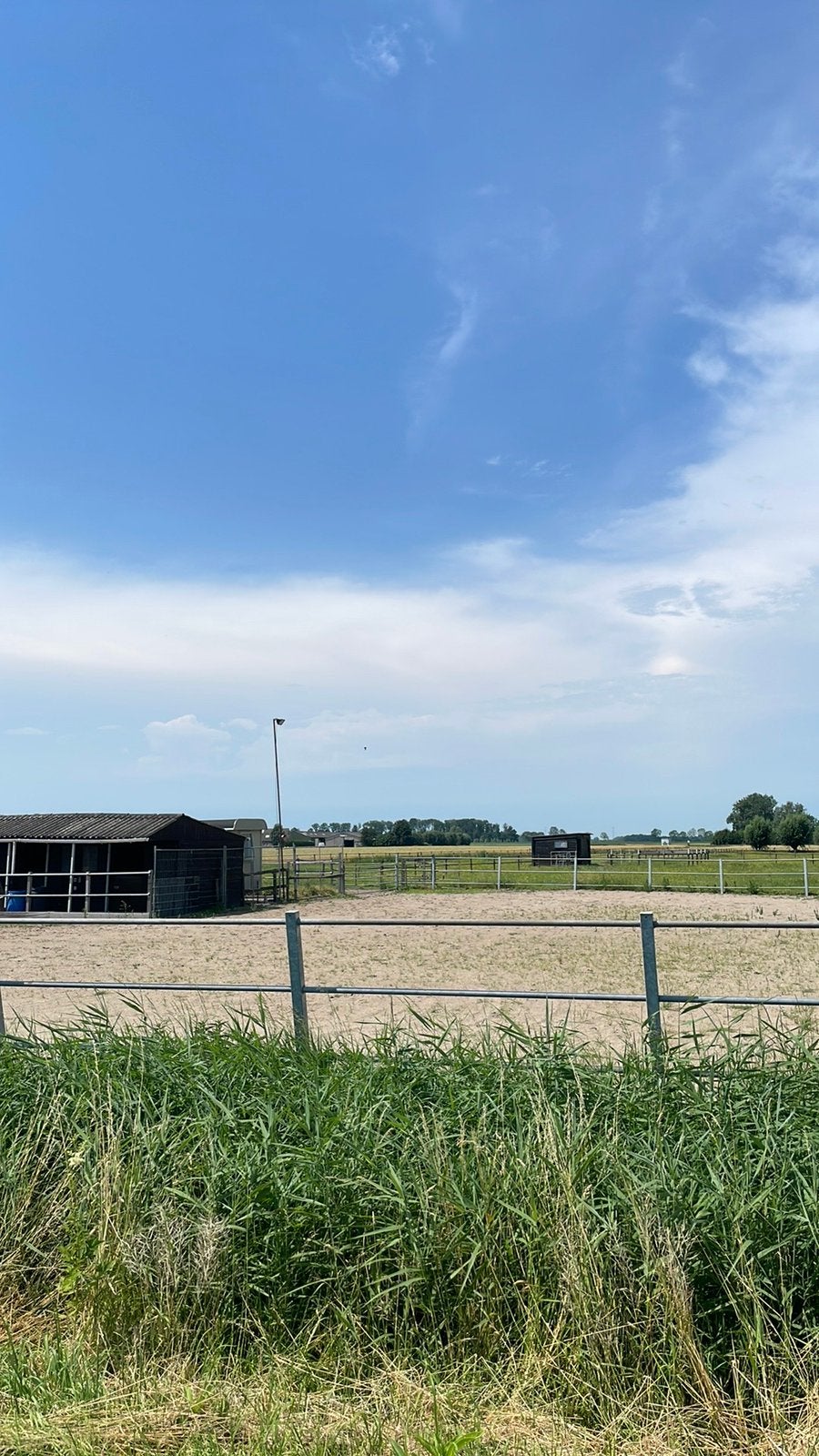 Plaats voor een  pension paard op prive stal, Dieren en Toebehoren, Stalling en Weidegang, Weidegang