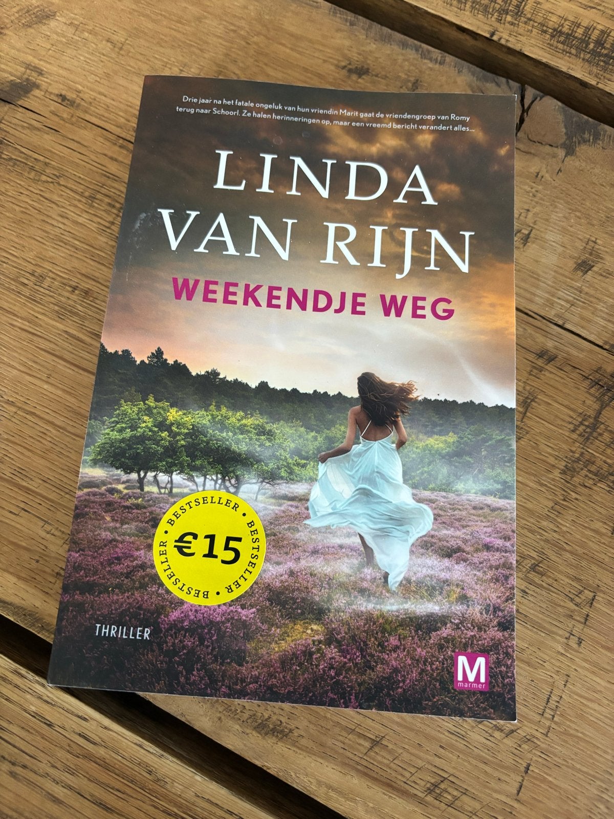 Linda van Rijn - Weekendje Weg (Thriller), Boeken, Ophalen of Verzenden, Zo goed als nieuw, Nederland