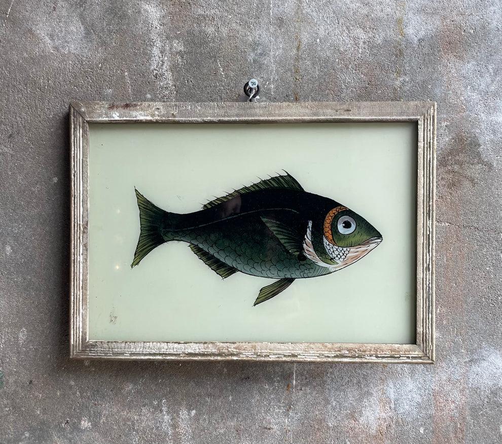 Authentiek schilderij vis, Huis en Inrichting, Woonaccessoires | Schilderijen, Tekeningen en Foto's, Minder dan 50 cm, Huize-Hendriks