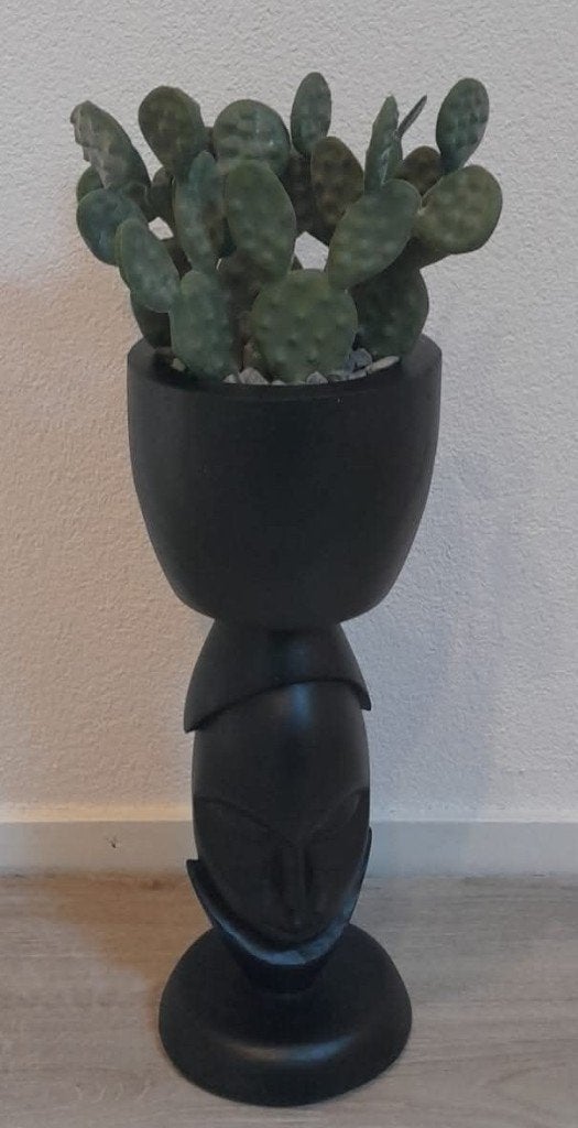 houten design vaas gezicht + kunst Cactus hoogte 60 cm, Ophalen, Zo goed als nieuw, Zwart, Overige materialen