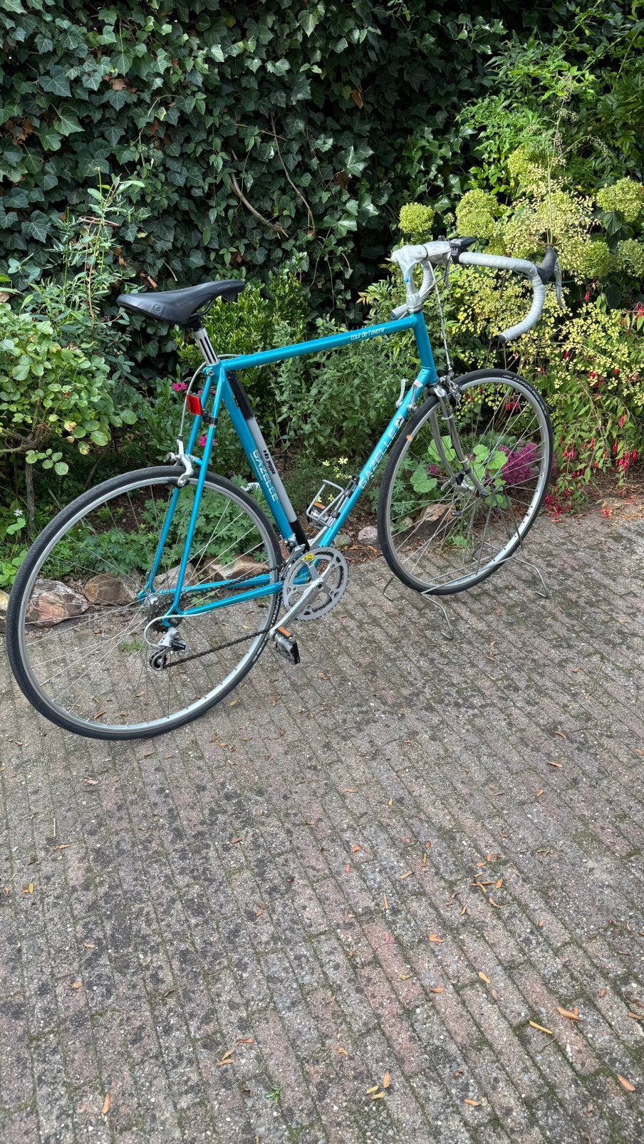 Gazelle Reynolds stalen racefiets Tour de l’avenir, Fietsen en Brommers, Ophalen, Gebruikt, Heren, Overige maten