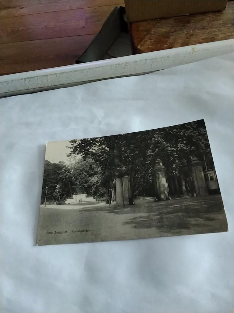 PARK. ZORGVLIET. CARNEGIELAAN, Ophalen of Verzenden, Voor 1920, Zuid-Holland