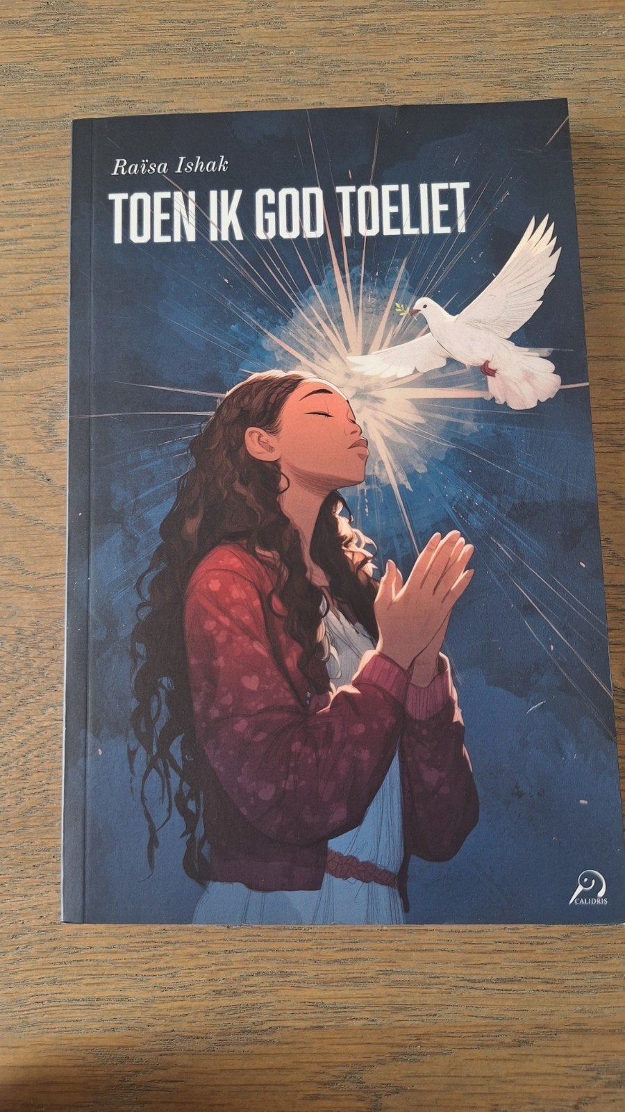 Toen Ik God Toeliet - Raisa Ishak (Zo goed als nieuw), Ophalen of Verzenden, Zo goed als nieuw, Raisa Ishak, Christendom | Katholiek