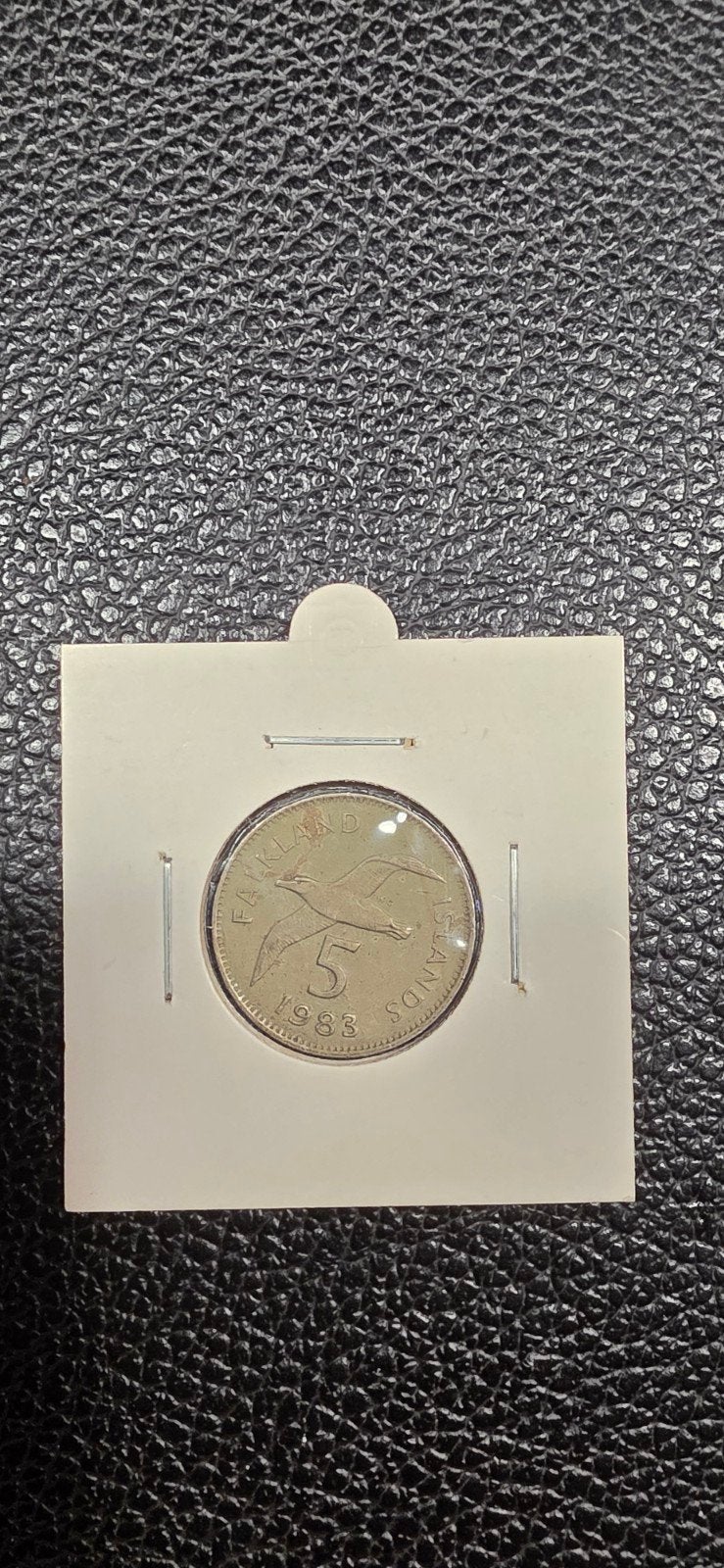 Falklandeilanden 5 pence 1983, Ophalen of Verzenden