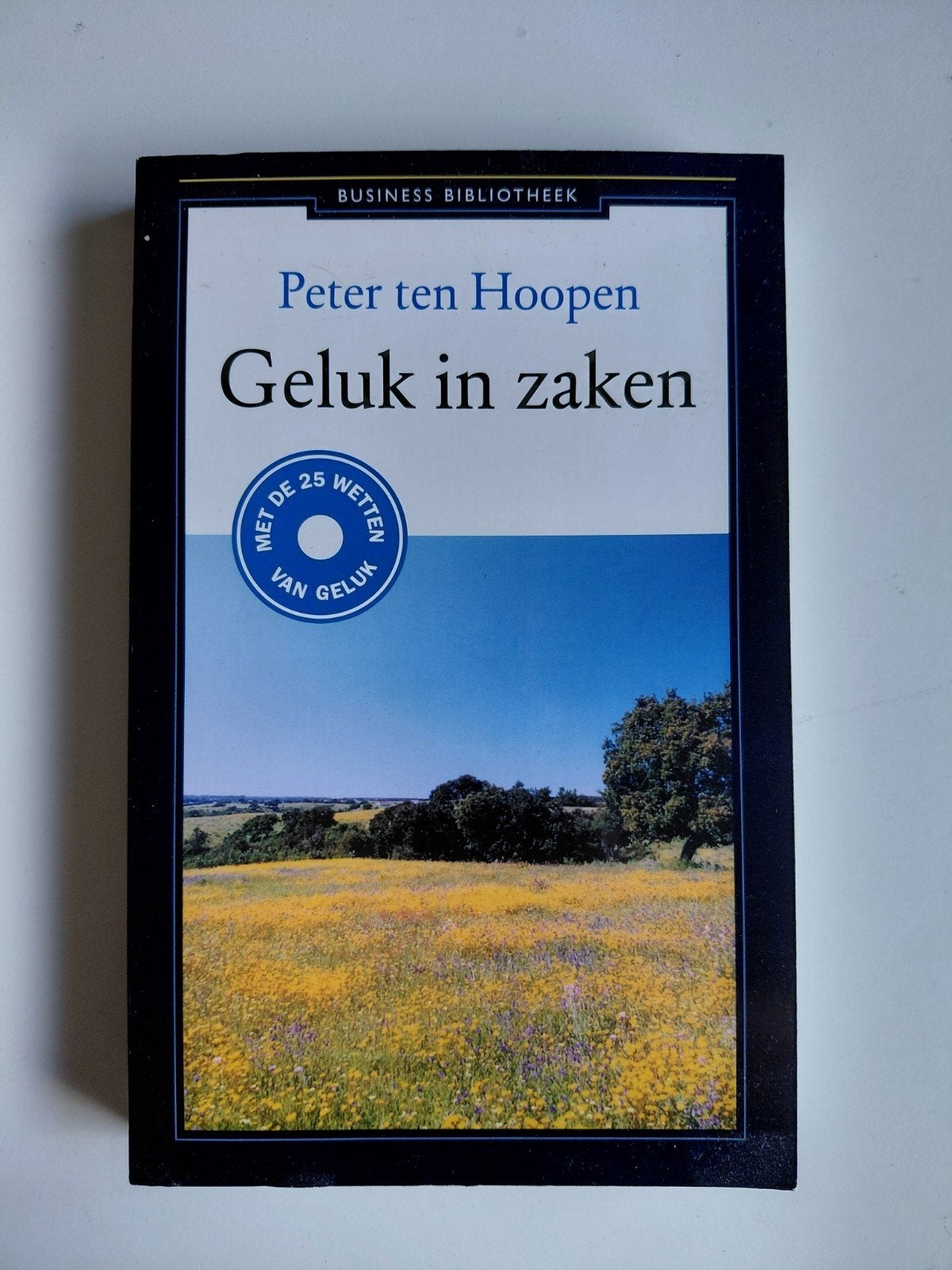 Peter ten Hoopen - Geluk in zaken, Ophalen of Verzenden, Zo goed als nieuw, Peter ten Hoopen