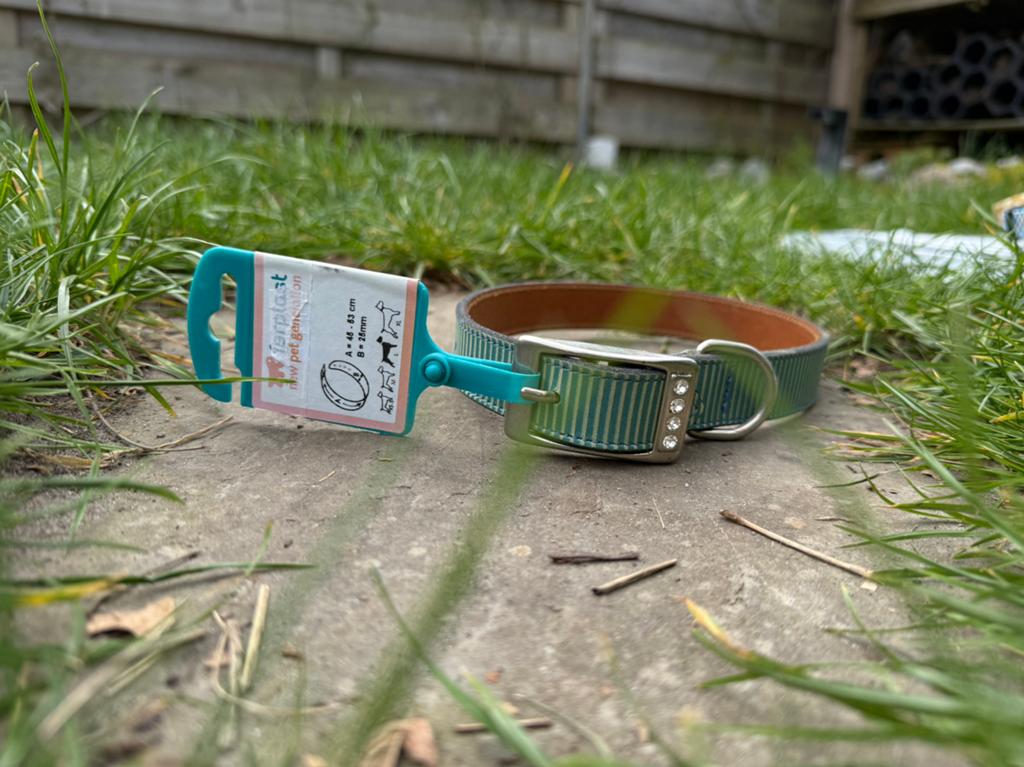 Groene halsband met diamantjes, Ophalen of Verzenden, Nieuw