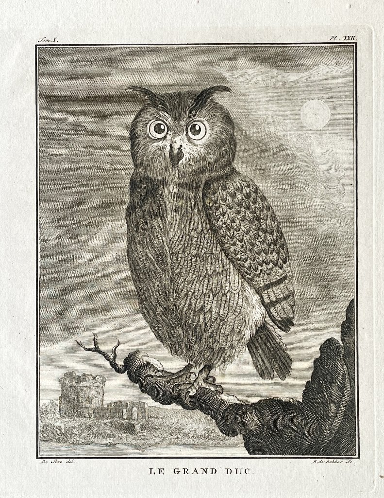 Ets 1801 du buffon in passe-partout en gratis verzending, Antiek en Kunst, Kunst | Etsen en Gravures, Ophalen of Verzenden