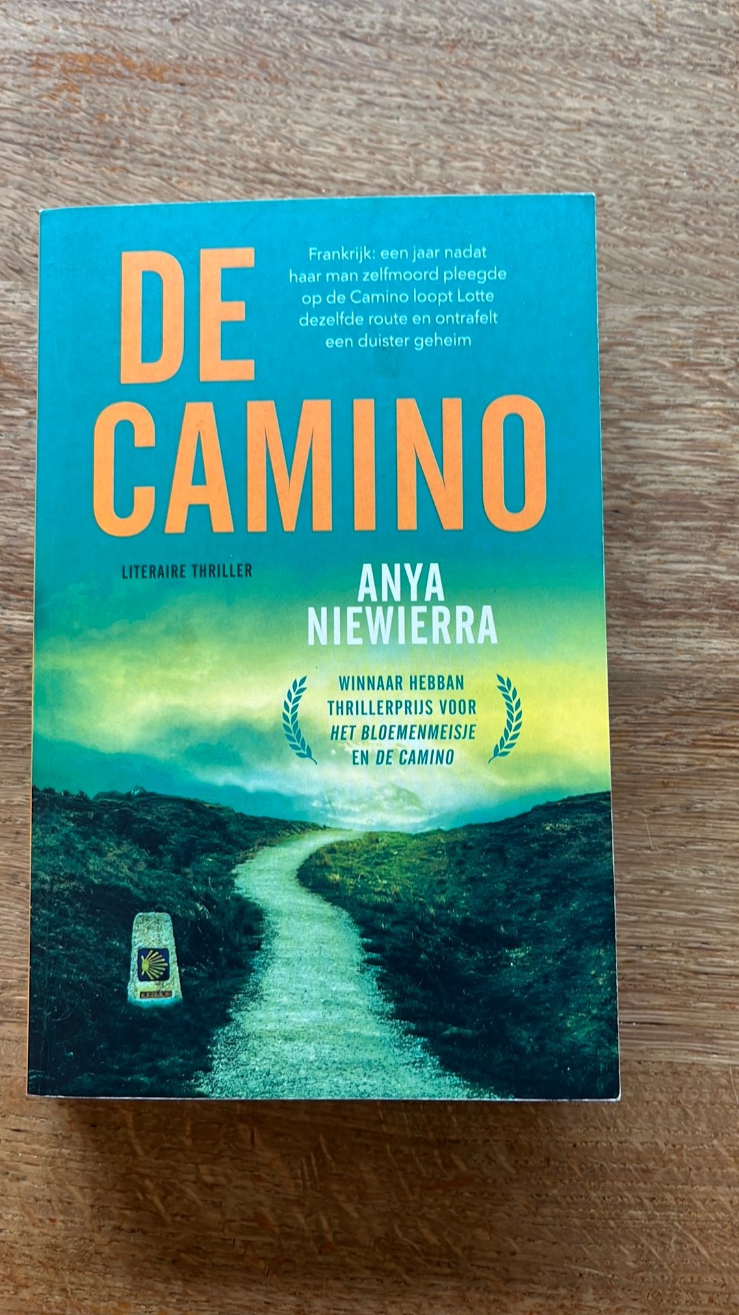 Anya Niewierra - De Camino, Boeken, Thrillers, Ophalen, Zo goed als nieuw, Anya Niewierra