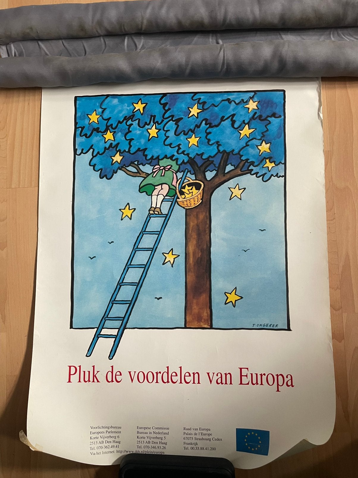 EU poster, Ophalen of Verzenden, Zo goed als nieuw, A1 t/m A3, Film en Tv