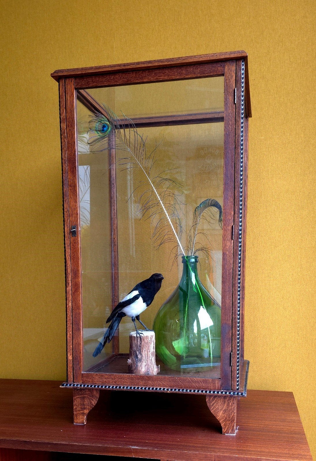 Antieke Eiken Winkel Vitrine kastje / Museum Vitrinekast, Glas, Gebruikt, Vintage, Minder dan 100 cm