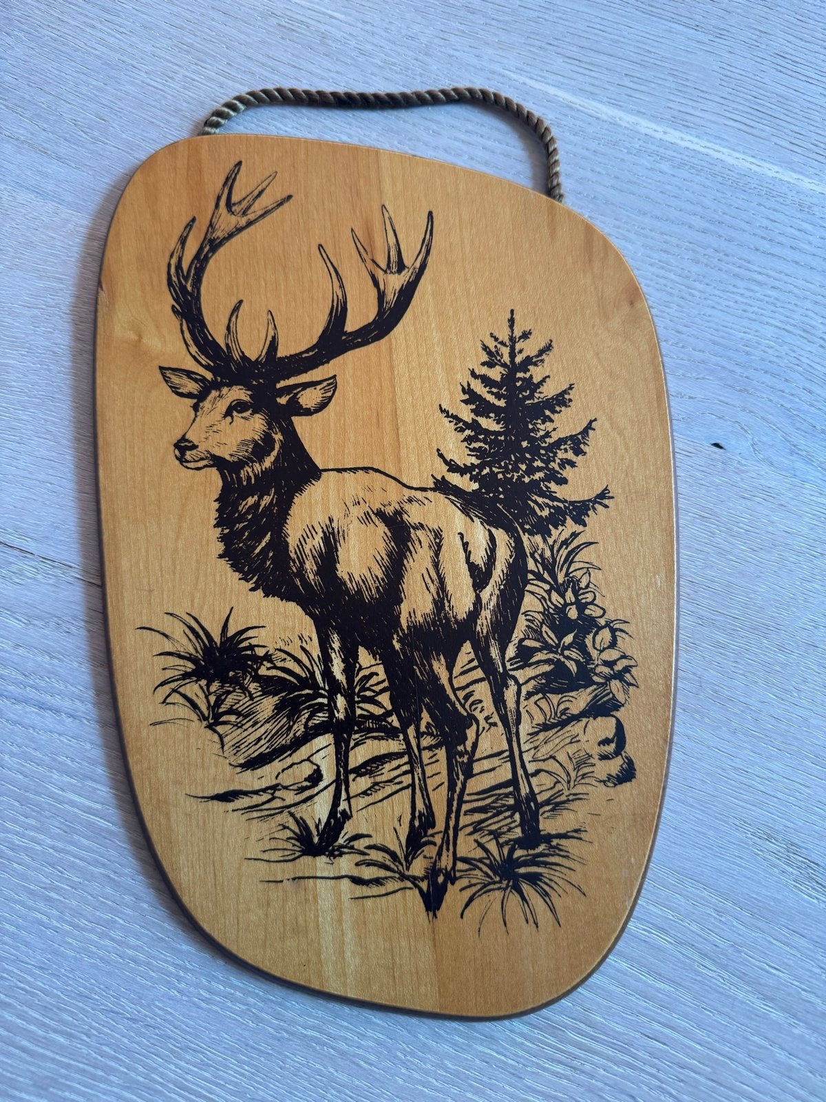 Vintage herten wanddecoratie - Houten wandbord, Gebruikt, Hout, Vintage, Ophalen of Verzenden