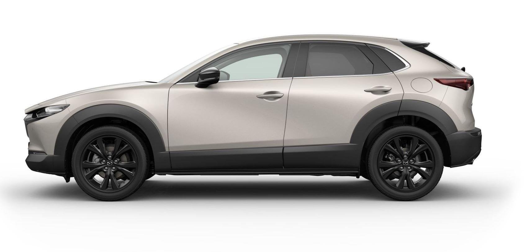 Mazda CX-30 2.5 e-SkyActiv-G M Hybrid Nagisa AT | Modeljaar, Auto's, Mazda, 4 cilinders, Automatische klimaatregeling, Bedrijf