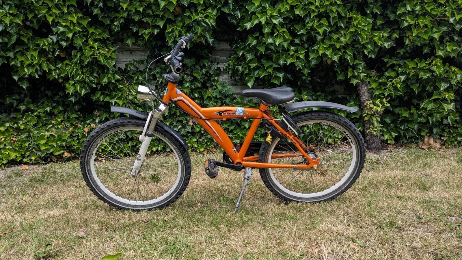Batavus Snake 22". Velp bij Grave., Ophalen, Gebruikt, Staal