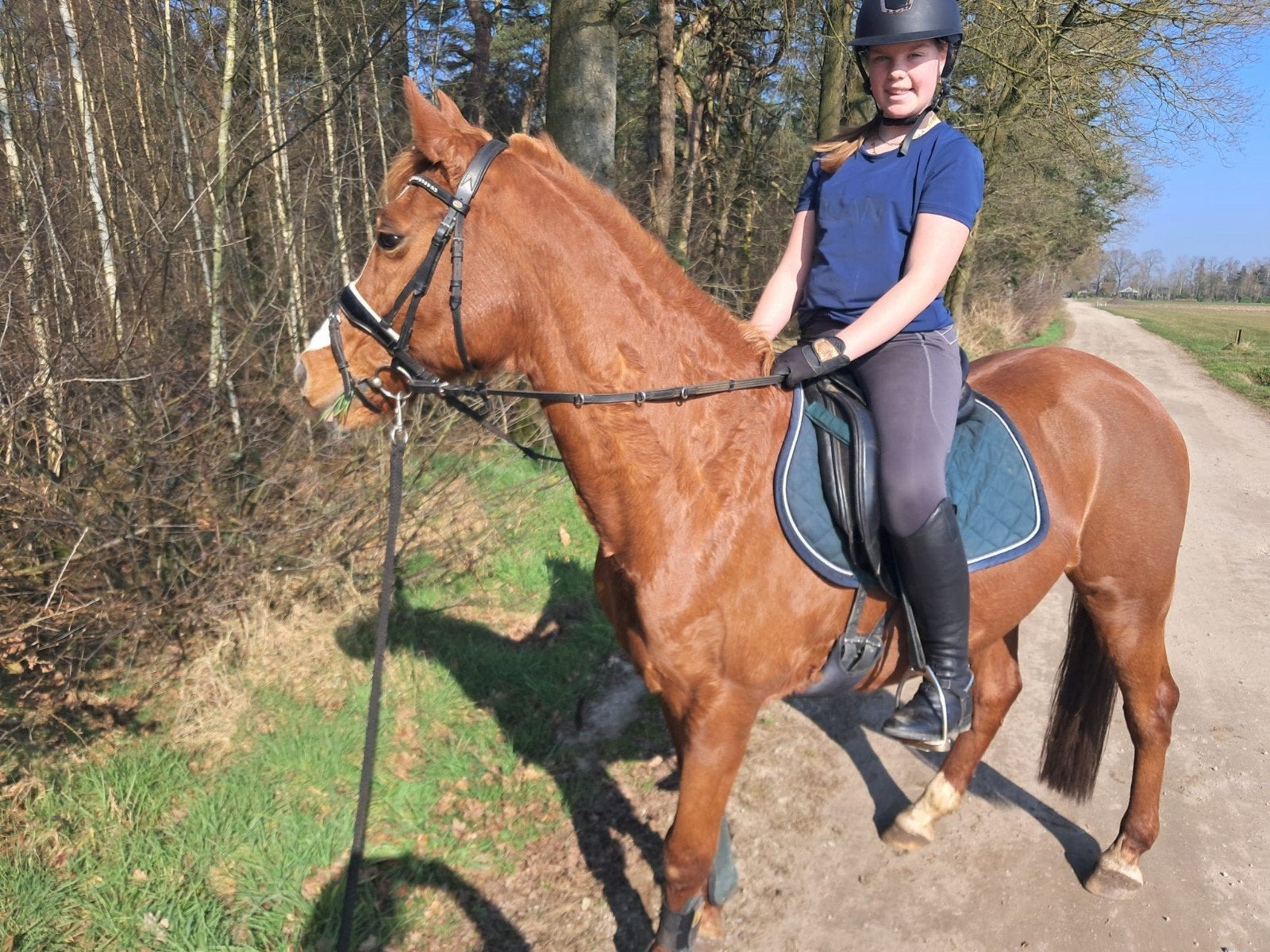 Lieve en brave leerpony d-pony of familiepaardje, Merrie, 11 jaar of ouder