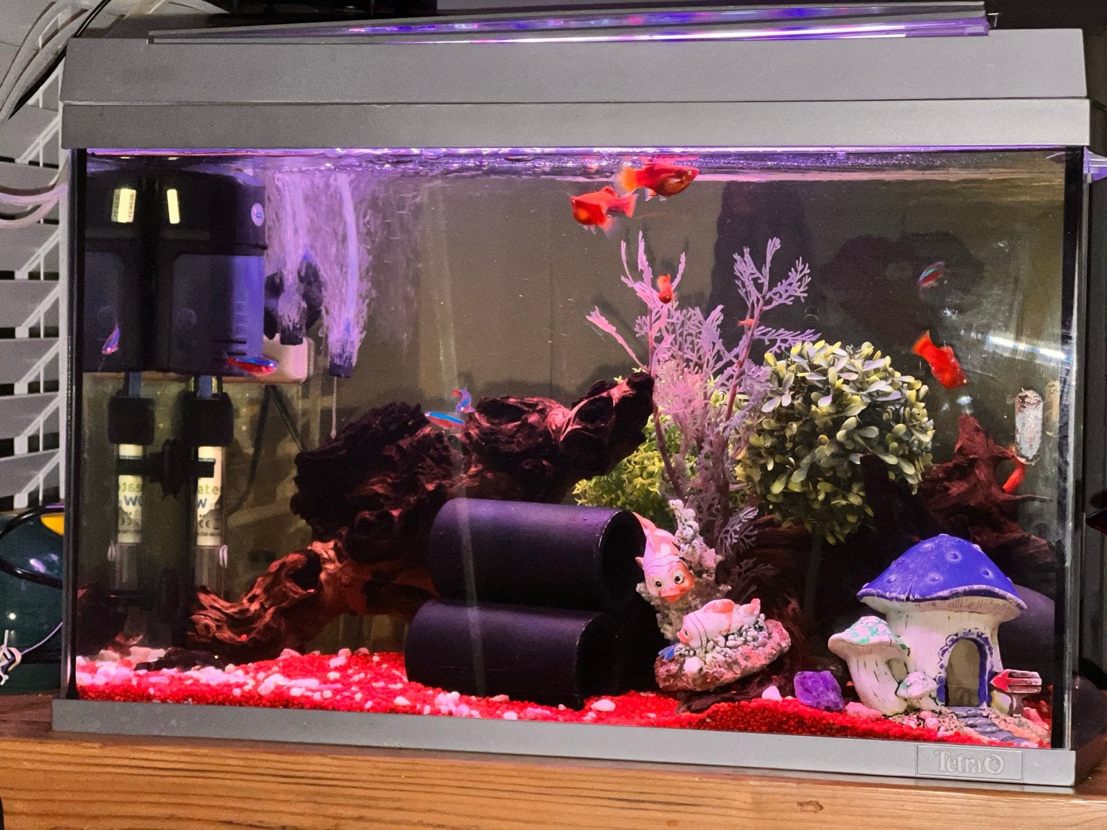 Aquarium, Ophalen, Zo goed als nieuw, Leeg aquarium