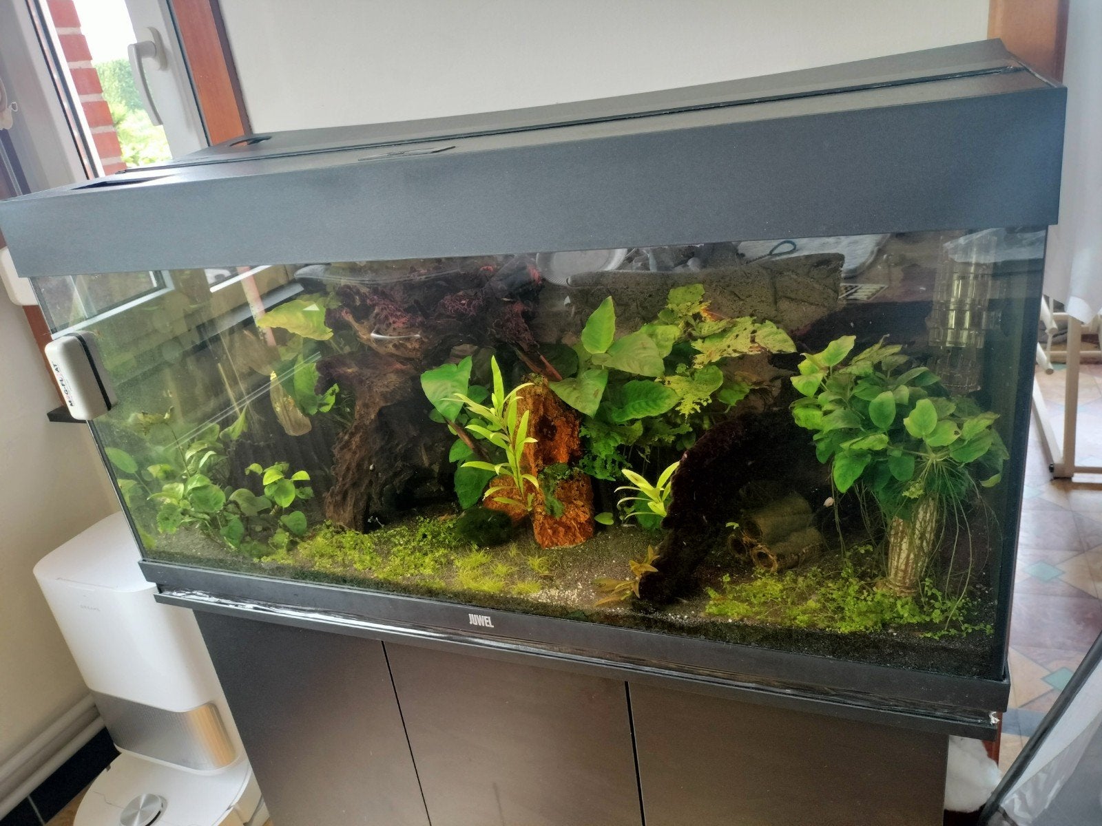aquarium met toebehoren 180 liter, Ophalen, Gebruikt, Gevuld zoetwateraquarium, Pomp