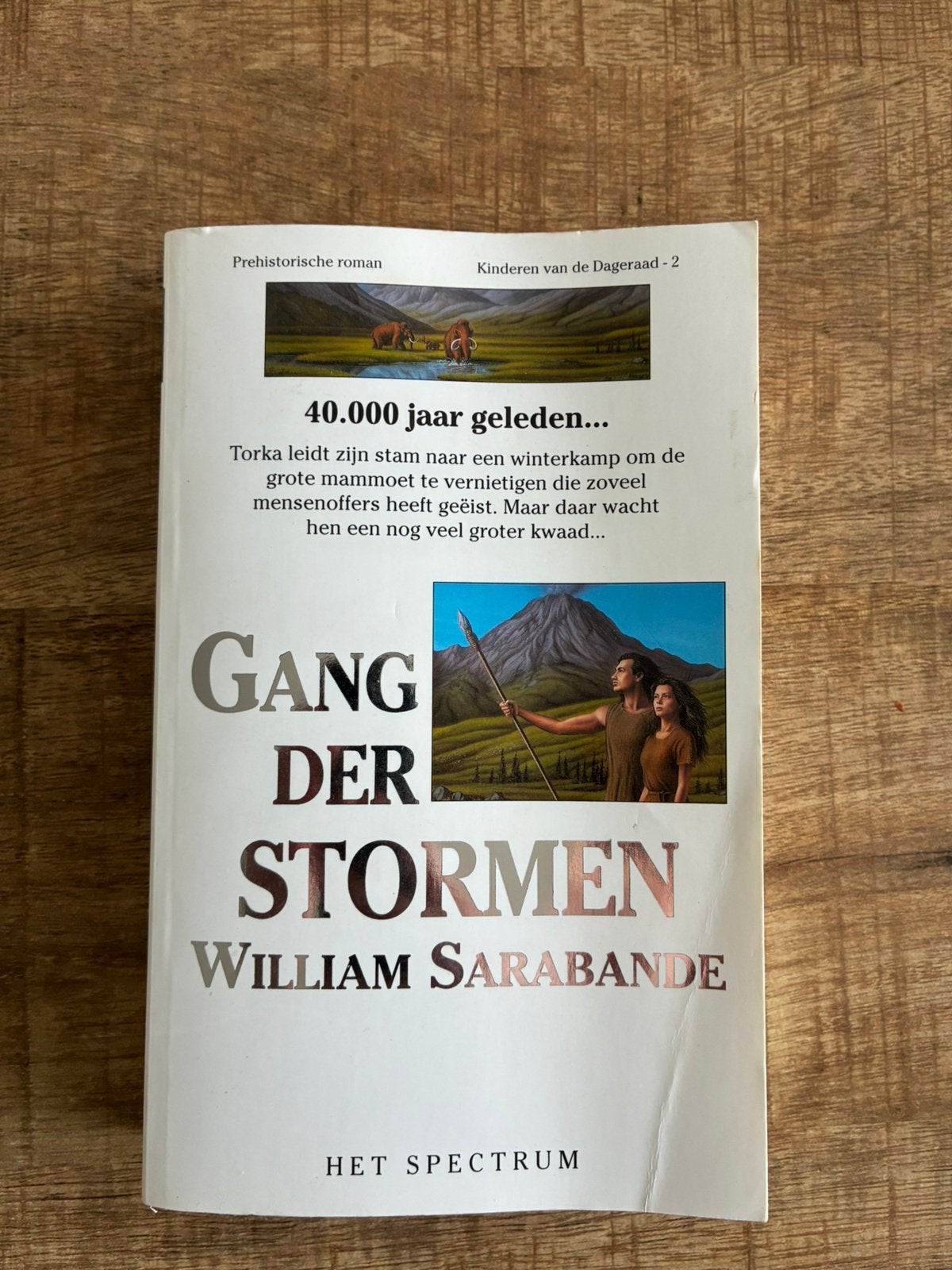 Gang der Stormen - William Sarabande, Boeken, Ophalen of Verzenden, Zo goed als nieuw, W. Sarabande, Nederland