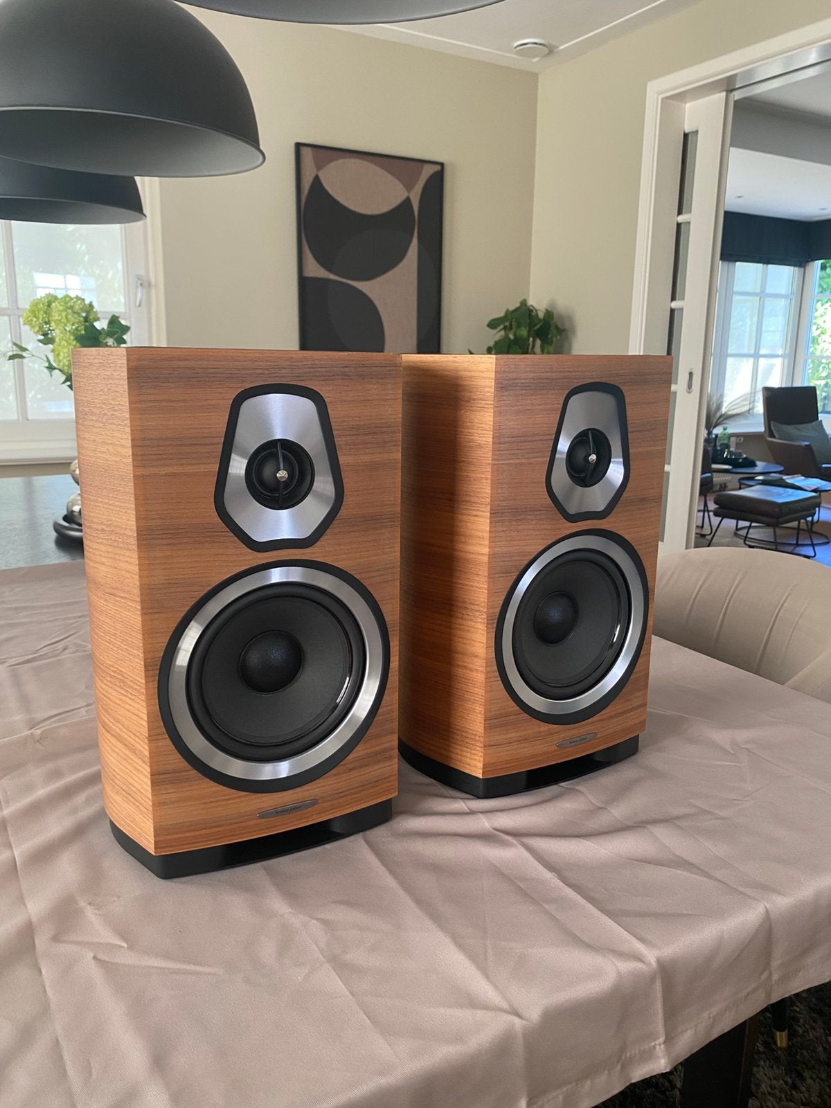 Sonus Faber sonetto 2, Ophalen, Gebruikt, Overige merken