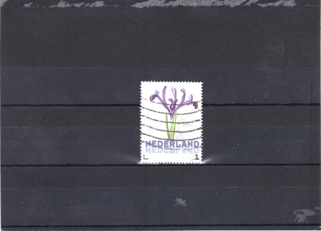 Nederland Kaderpostzegel Iris gest, Ophalen of Verzenden, Gestempeld