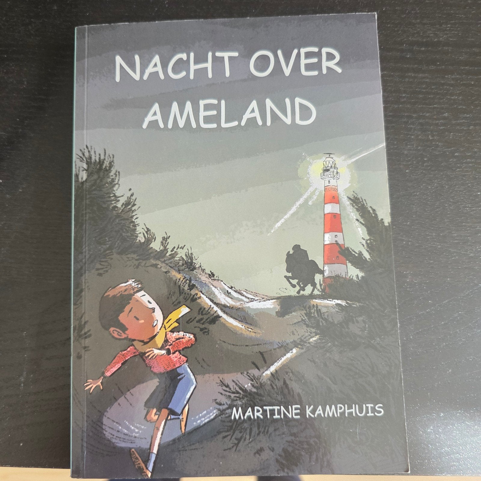 Nacht over Ameland - Martine Kamphuis (kinderboek), Boeken, Ophalen, Zo goed als nieuw, Martine Kamphuis, Nederland