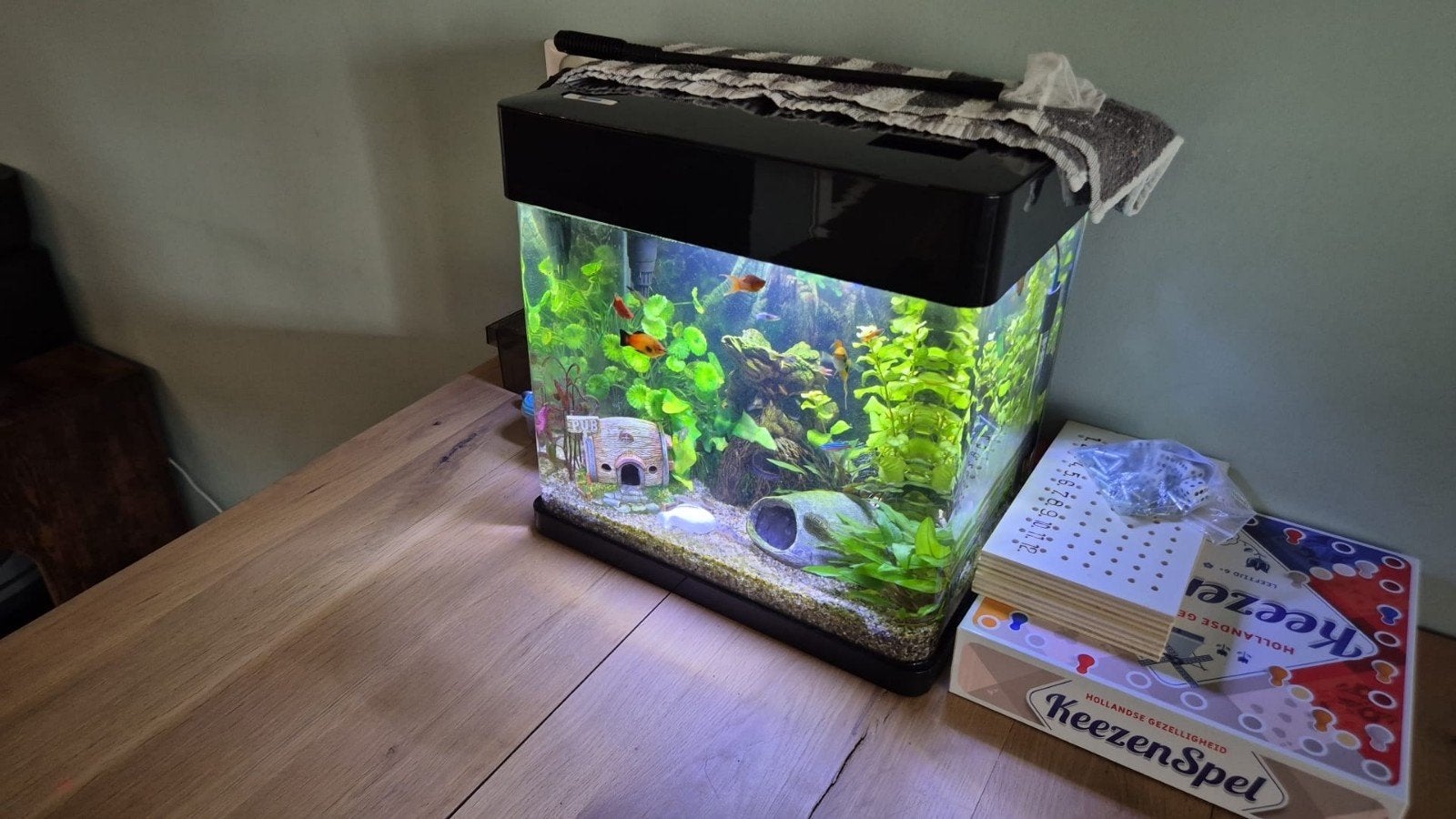 Aquarium, Ophalen, Zo goed als nieuw, Leeg aquarium