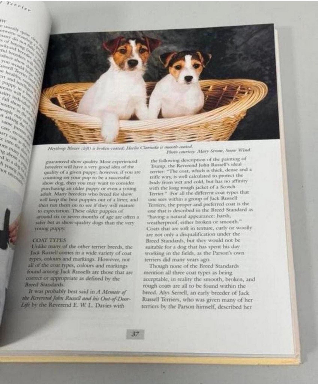 Ultimate Jack Russell Terrier by Mary Strom 1999, Hardcover, Boeken, Ophalen of Verzenden, Zo goed als nieuw, Honden