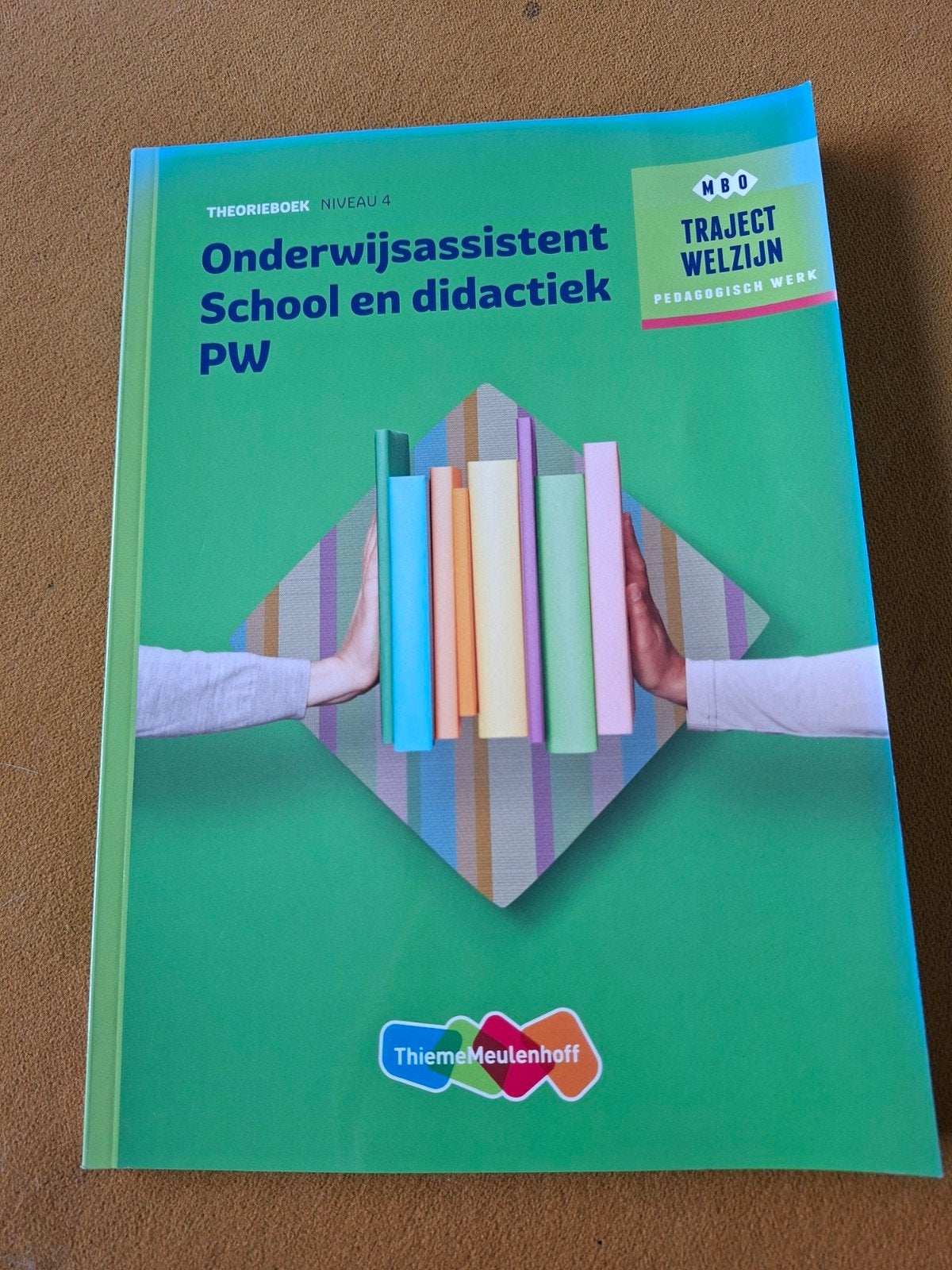 Theorieboek, Boeken, Ophalen of Verzenden, Zo goed als nieuw, Overige niveaus, Nederlands