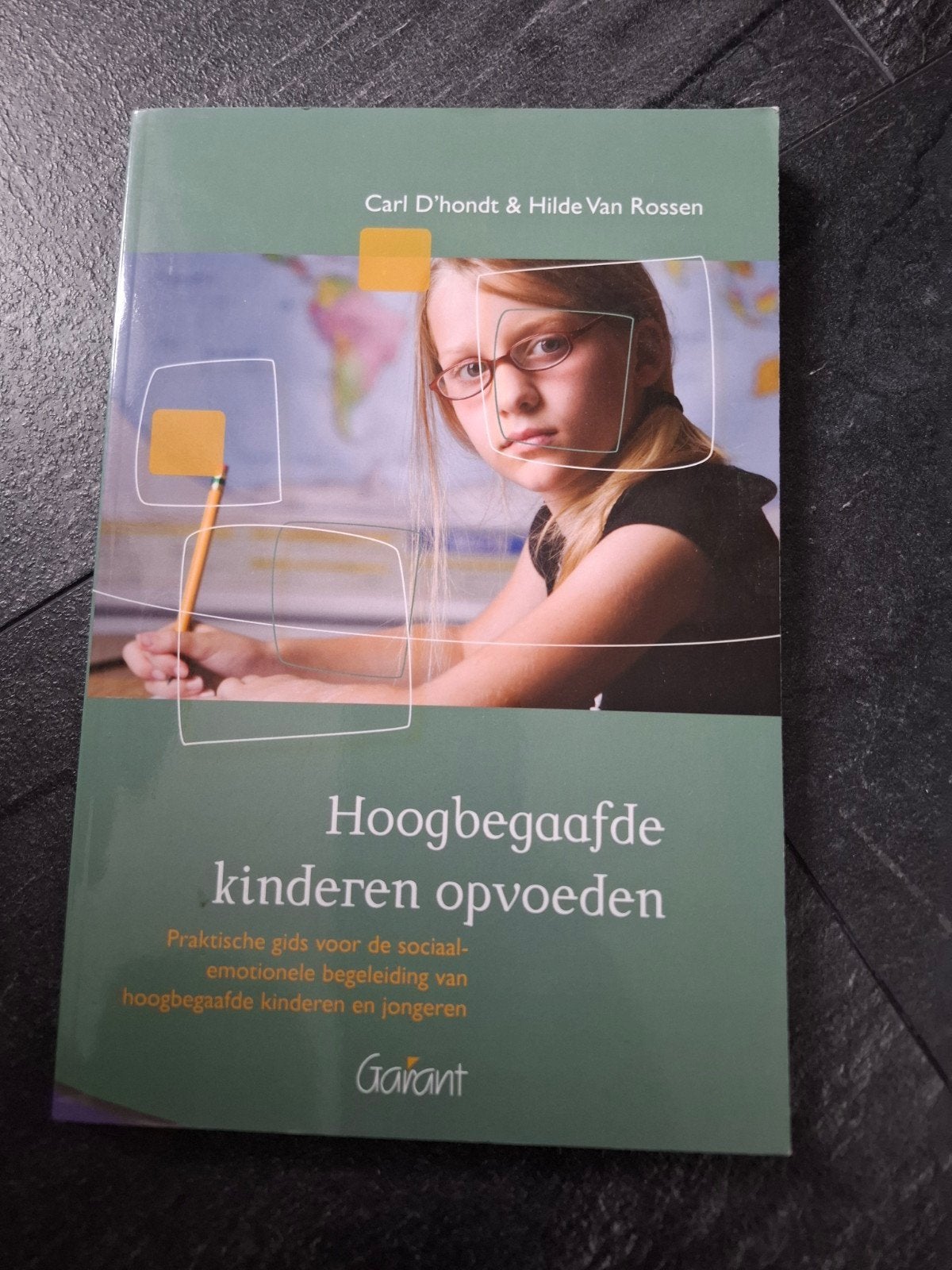 Carl D'hondt - Hoogbegaafde kinderen opvoeden, Sociale wetenschap, Carl D'hondt; Hilde Van Rossen, Ophalen of Verzenden, Zo goed als nieuw
