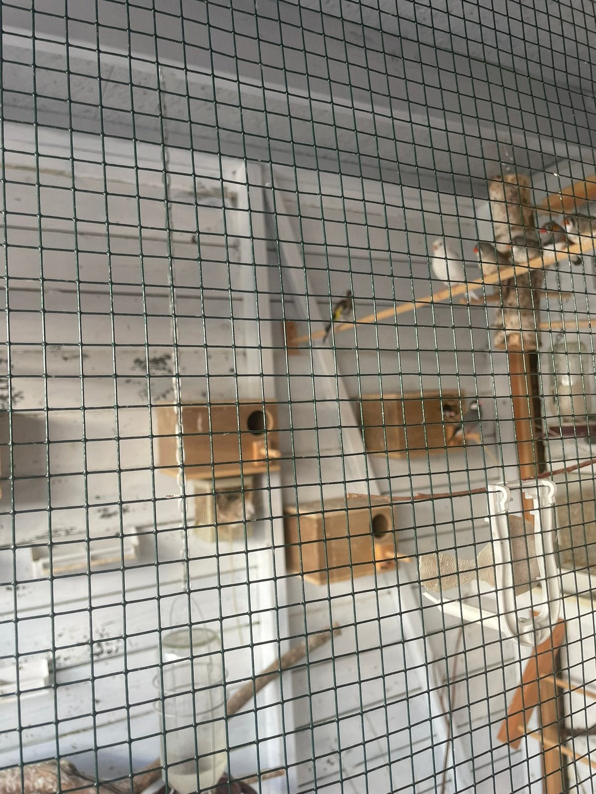 Putter mannelijk 2024, Ophalen, Aluminium, Vogelkooi