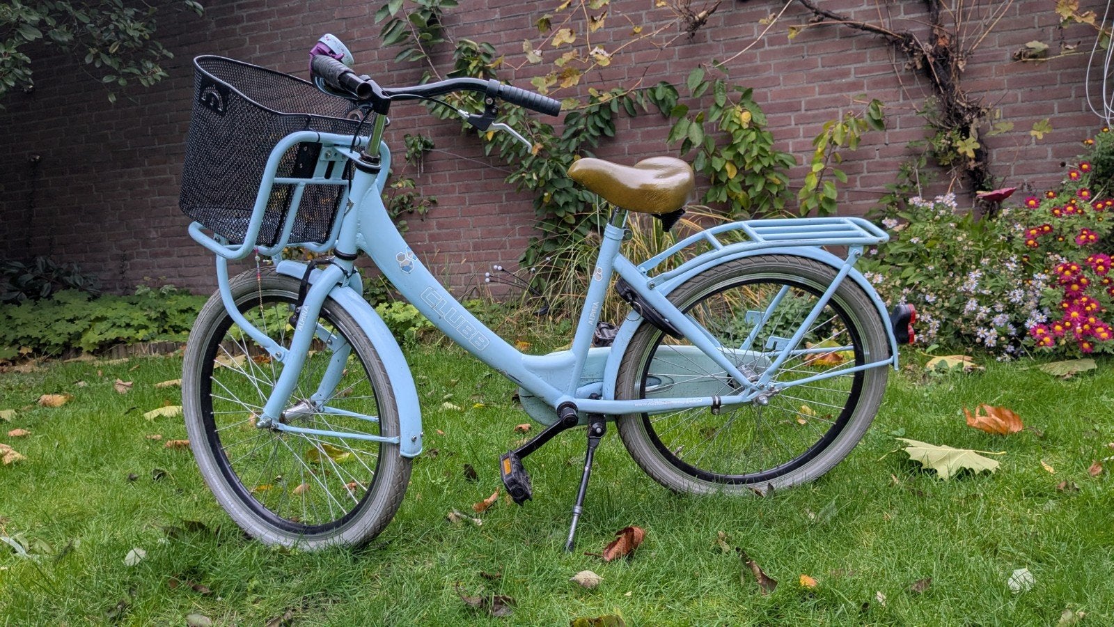 Meisjesfiets 22 inch met werkend licht en terugtraprem, Ophalen, Gebruikt, Terugtraprem, 22 inch