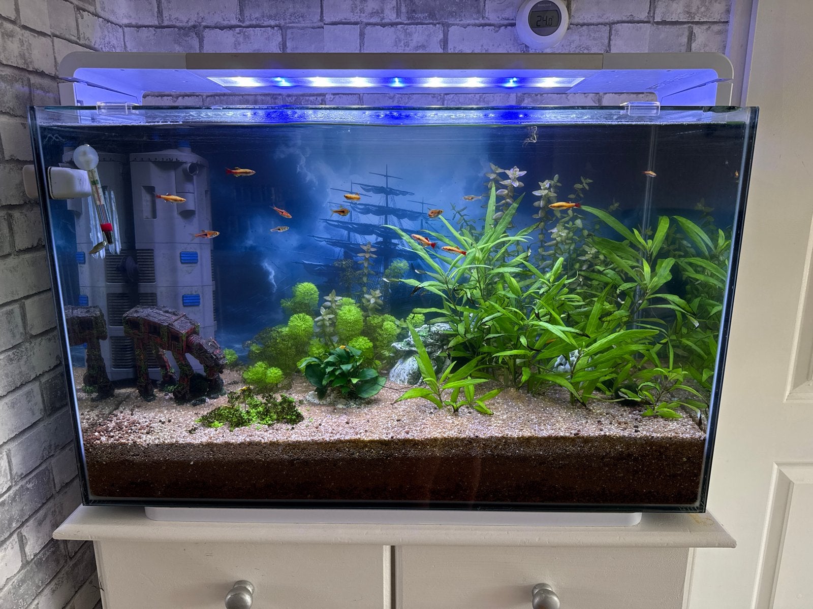 Aquarium, Ophalen, Inclusief vissen, Gebruikt, Gevuld zoetwateraquarium
