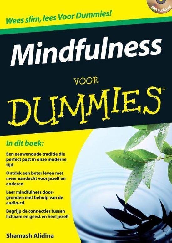 Mindfulness voor Dummies, Gelezen, Spiritualiteit algemeen, Ophalen of Verzenden, Instructieboek