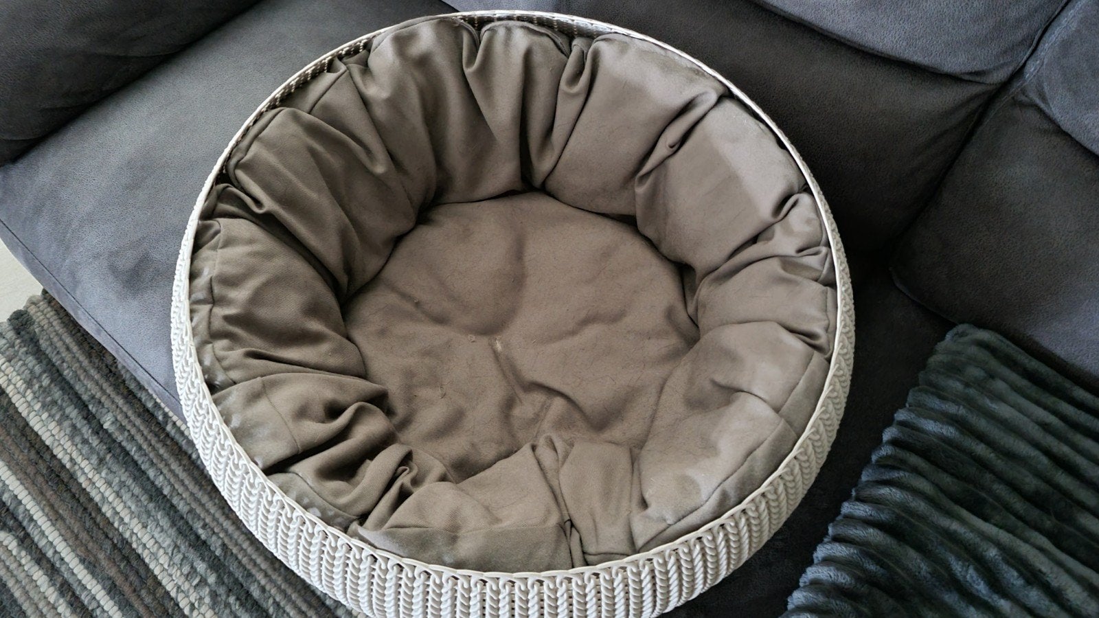 kattenmandje kunstof Curver, Ophalen, Zo goed als nieuw, Overige
