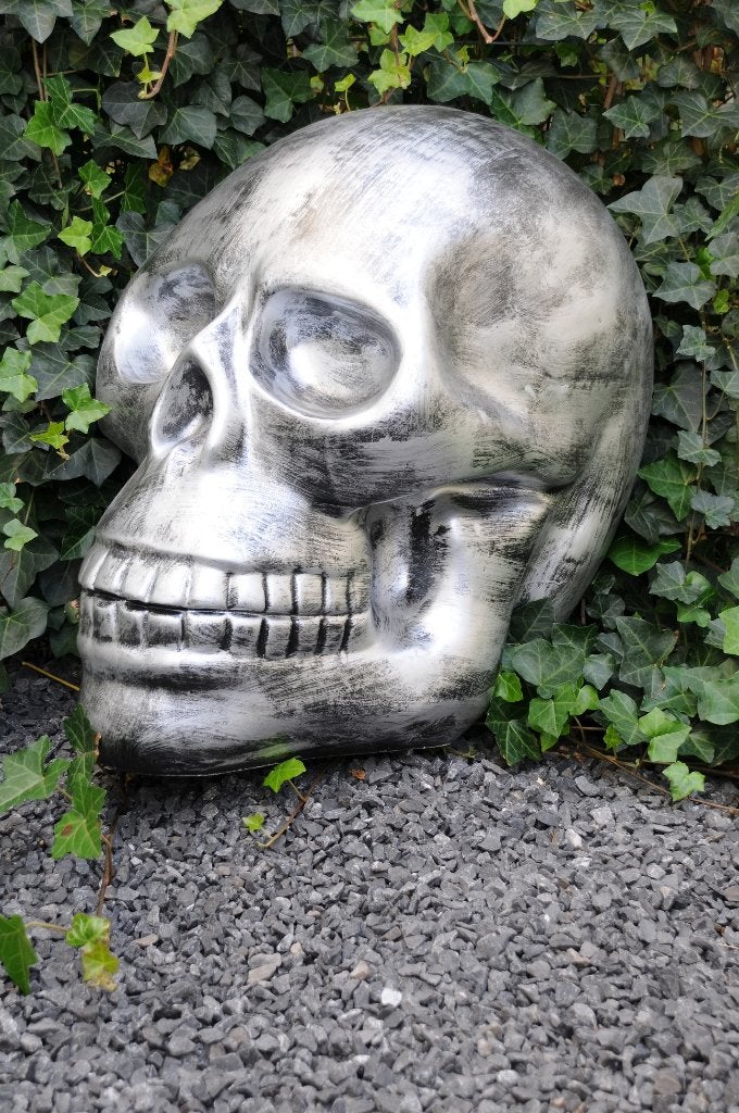 Zeer grote anatomische schedel, uit Polystein-grijs-zwart, Brocante, ., Kunststof, Ophalen of Verzenden
