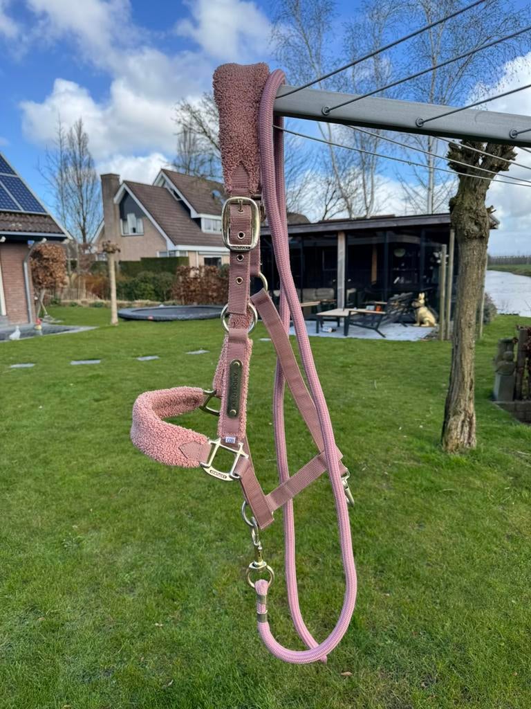 Halster teddy kentucky, Dieren en Toebehoren, Ophalen of Verzenden, Zo goed als nieuw, Overige soorten