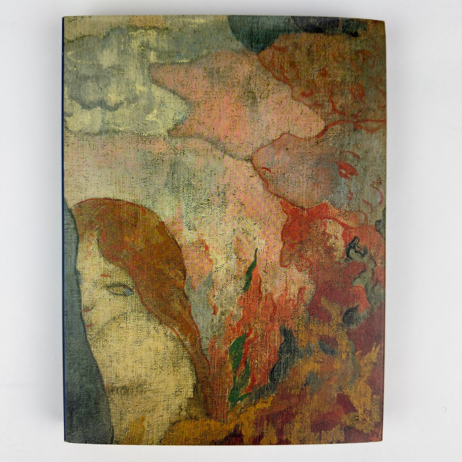 Potential Images – Dario Gamboni | Kunstboek Hardcover, Ophalen of Verzenden, Gelezen