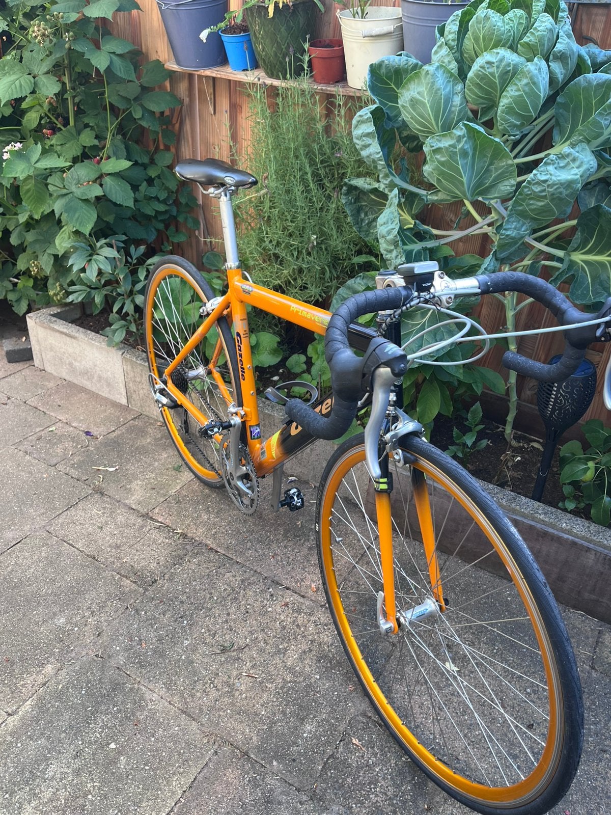 Racefiets Gazelle Primavera kleine framemaat dames, Fietsen en Brommers, Fietsen | Racefietsen, Ophalen, 28 inch, 10 tot 15 versnellingen