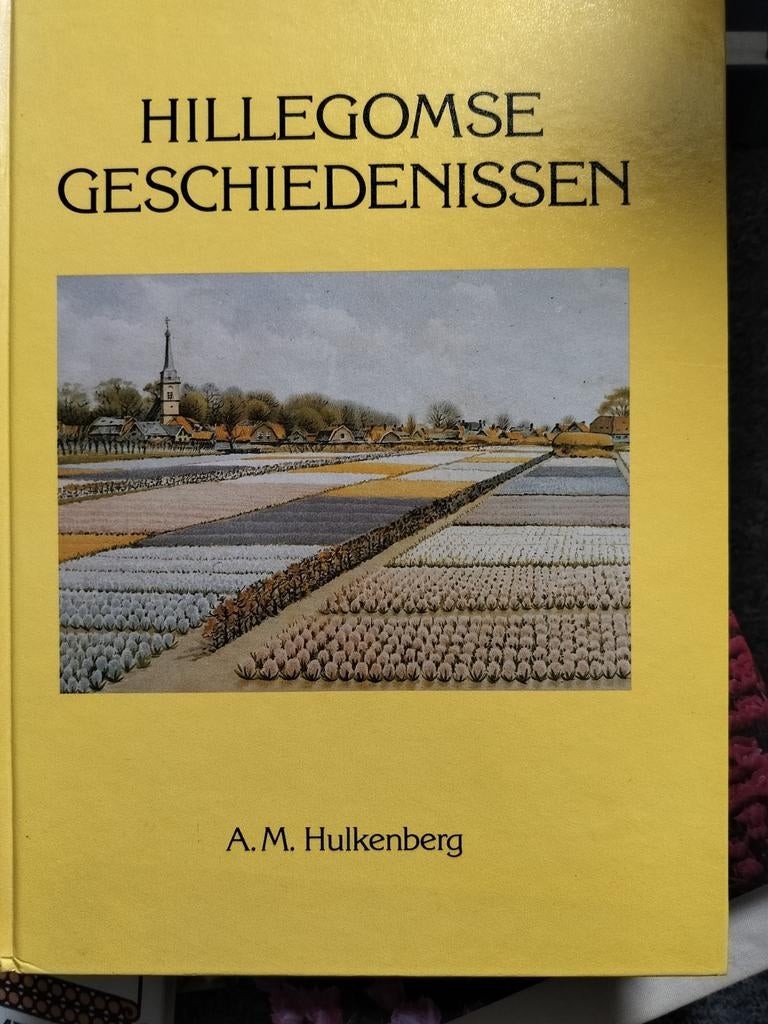 Hillegomse Geschiedenissen - A.M. Hulkenberg, Ophalen of Verzenden, 20e eeuw of later, Gelezen, A.M. Hulkenberg