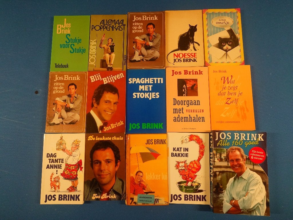 jos brink boek, Ophalen of Verzenden, Gelezen
