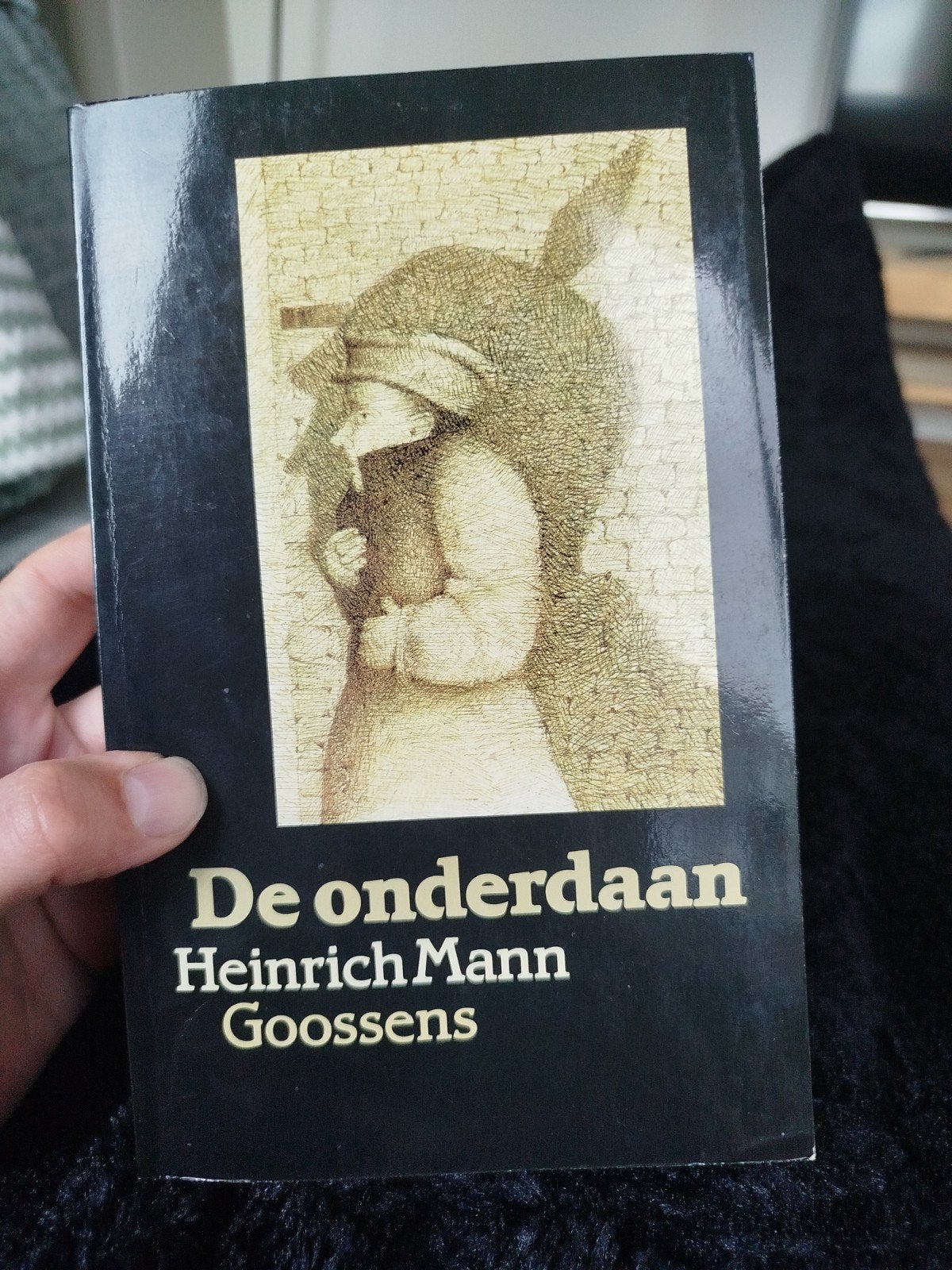 De onderdaan - Heinrich Mann (Goossens), Boeken, Ophalen, Gelezen, Heinrich Mann