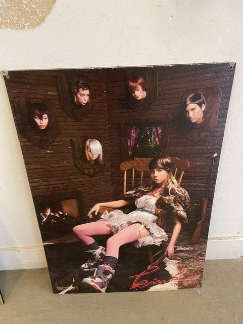 posters, Huis en Inrichting, Ophalen, 50 – 75, Gebruikt, Foto of Poster