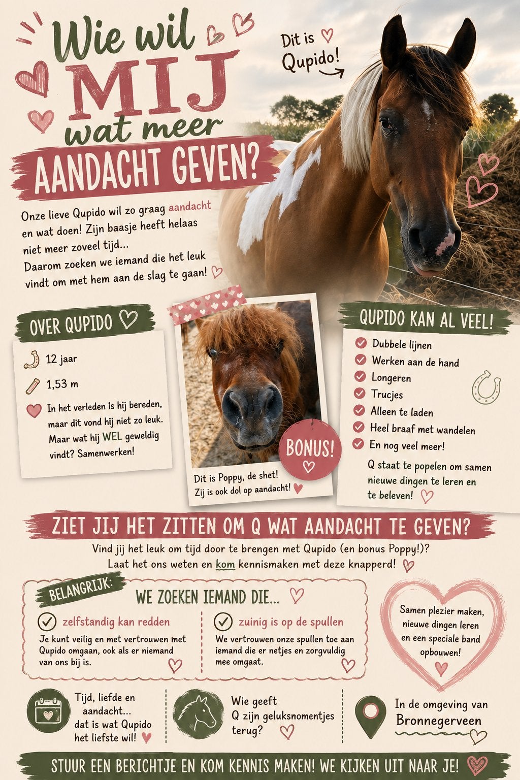 Maatje gezocht voor onze Qupido, Dieren en Toebehoren, Mei, Mannelijk