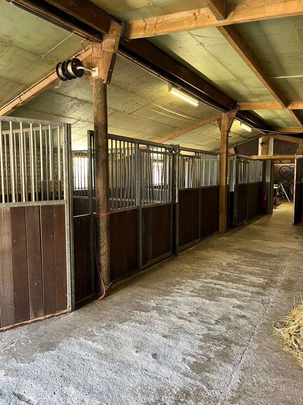 Pensionstalling aangeboden, Weidegang, 1 paard of pony