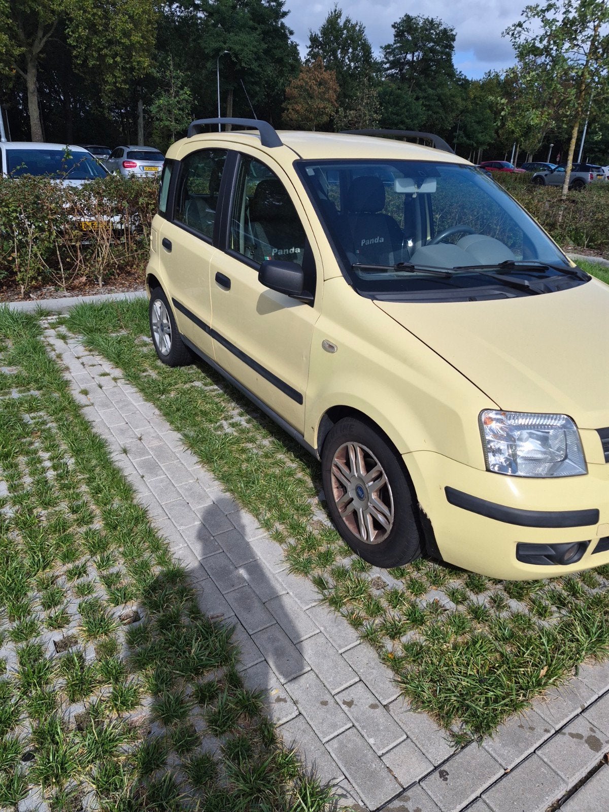 Fiat Panda 1.2 44KW 60PK 2004 Geel, Voorwielaandrijving, 400 kg, Handgeschakeld, Particulier