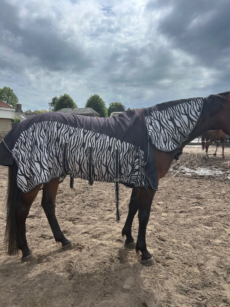 3 in 1 vliegendeken 215, Dieren en Toebehoren, Paarden en Pony's | Dekens en Dekjes, UV-werend, Gebruikt, Overige materialen, Ophalen of Verzenden