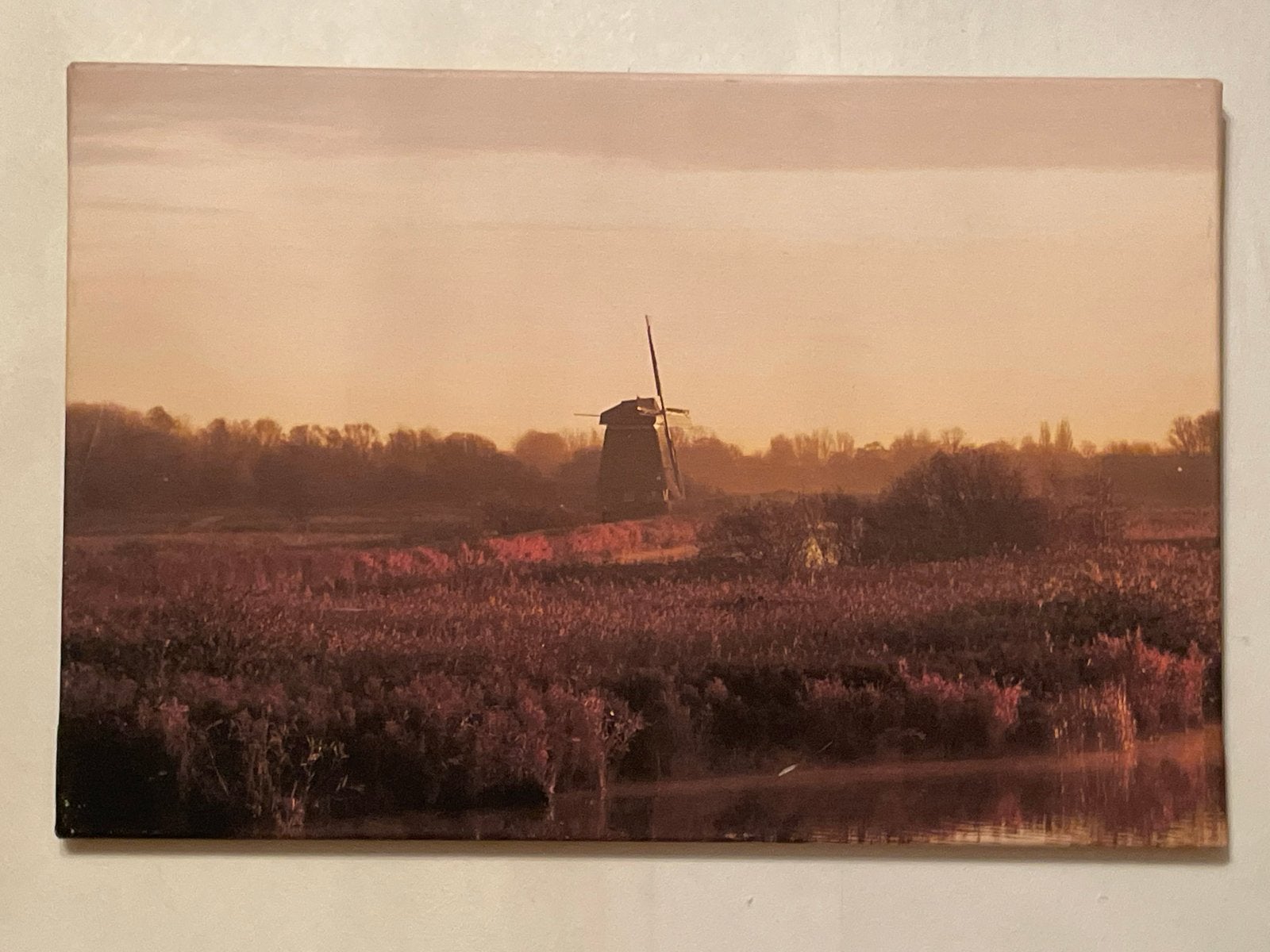 Canvas Twiskermolen Landsmeer - Fotografie Moerland, Minder dan 50 cm, Oorspronkelijke maker, Ophalen of Verzenden, Zo goed als nieuw