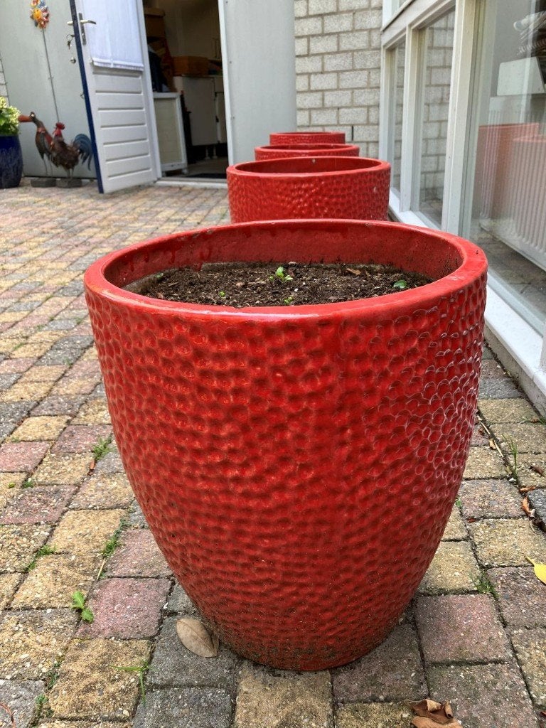 bloempot, Gebruikt, Rond, 40 tot 70 cm, Ophalen