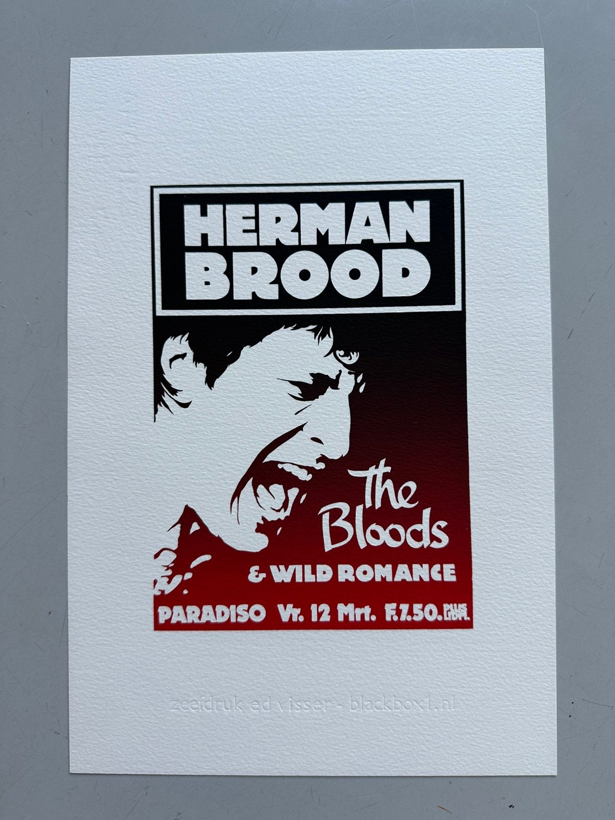 Herman Brood & Wild Ronance concertposter 30x20 cm, Ophalen of Verzenden, Zo goed als nieuw, Foto of Kaart