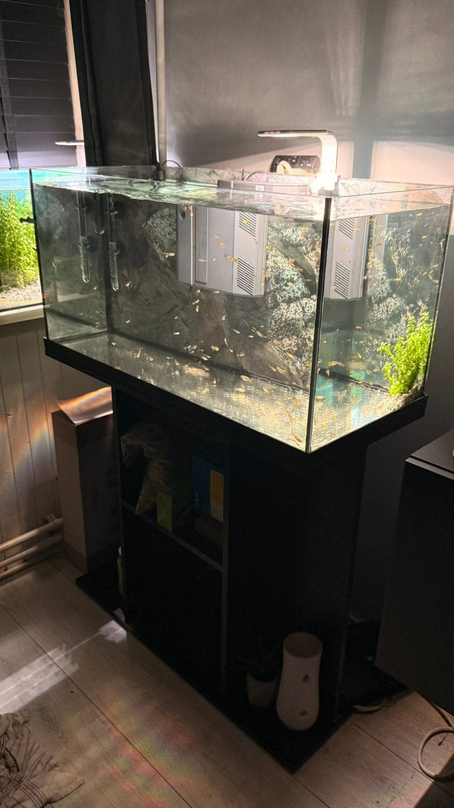 Moet weg, Dieren en Toebehoren, Vissen | Aquaria en Toebehoren, Ophalen, Zo goed als nieuw, Gevuld zoetwateraquarium